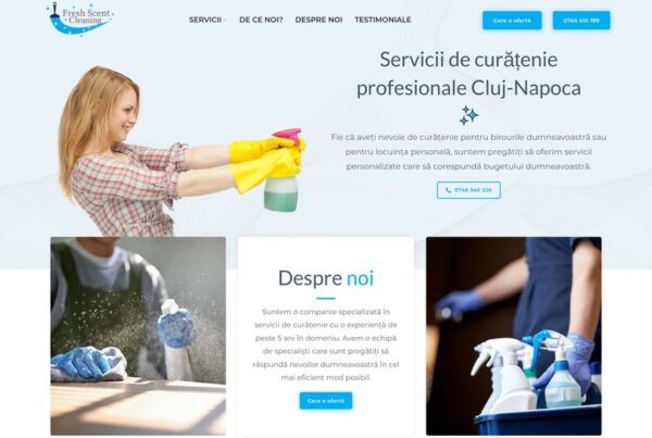 Curățenie Cluj-Napoca